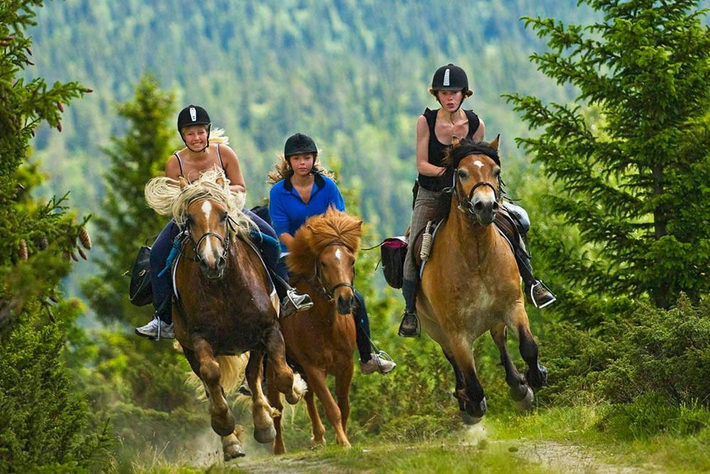 Rondane River Lodge - Rondane Gjestegard Enden Екстер'єр фото