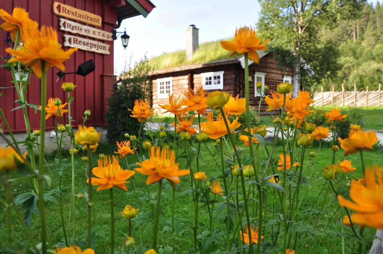 Rondane River Lodge - Rondane Gjestegard Enden Екстер'єр фото