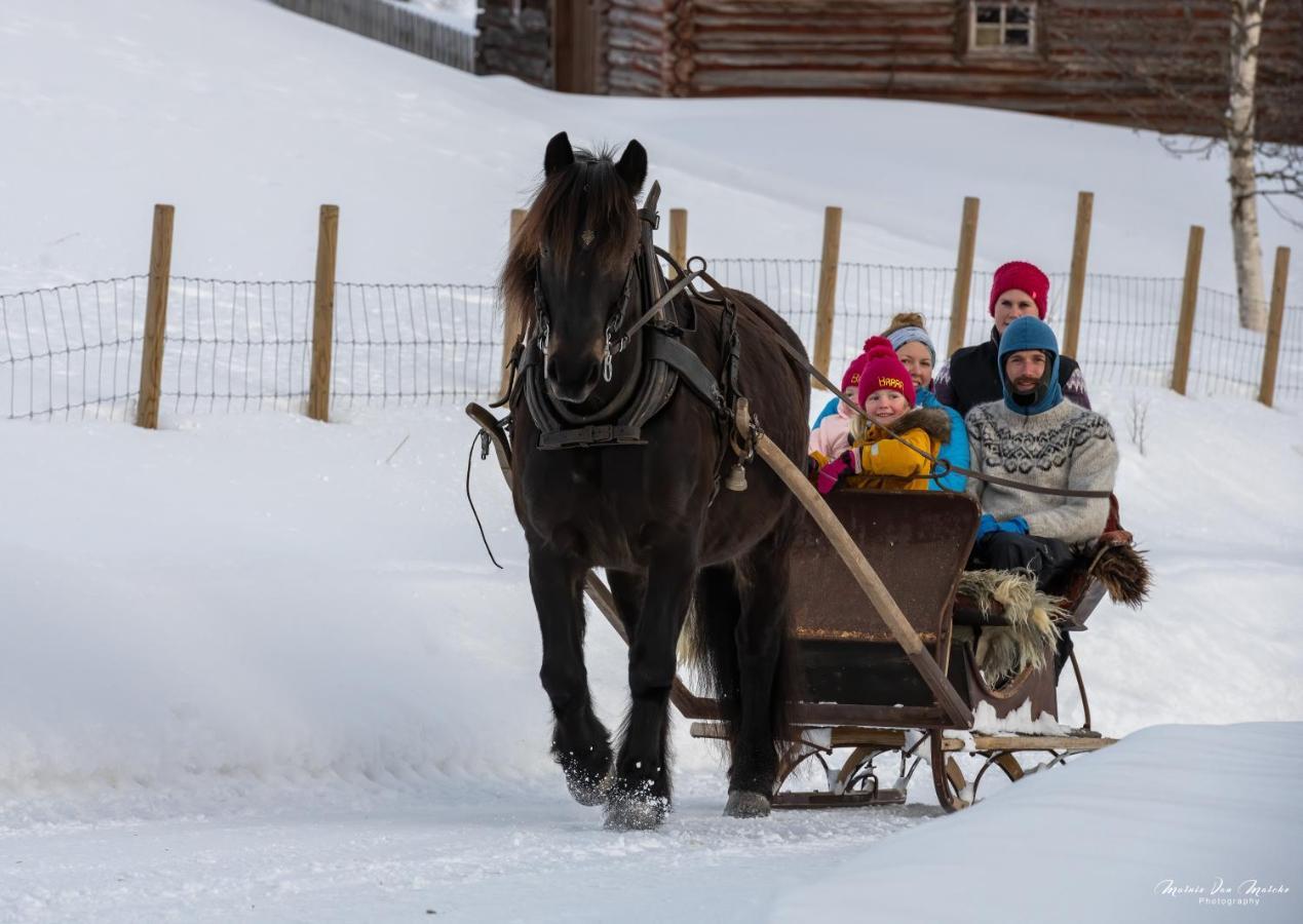 Rondane River Lodge - Rondane Gjestegard Enden Екстер'єр фото