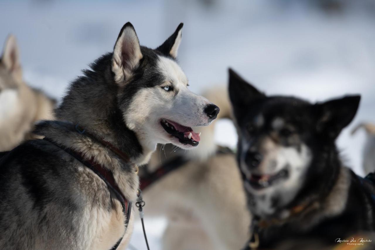 Rondane River Lodge - Rondane Gjestegard Enden Екстер'єр фото