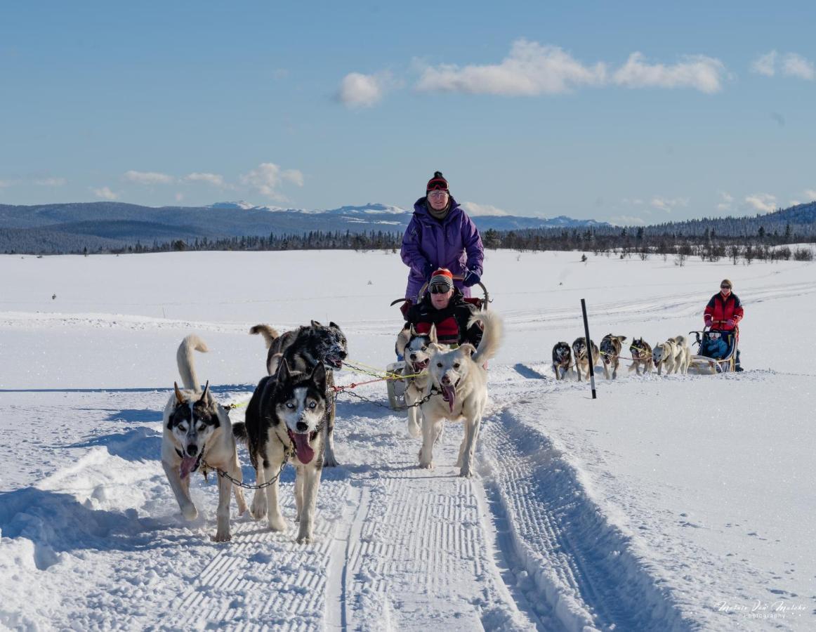 Rondane River Lodge - Rondane Gjestegard Enden Екстер'єр фото